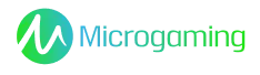 Microgaming provider